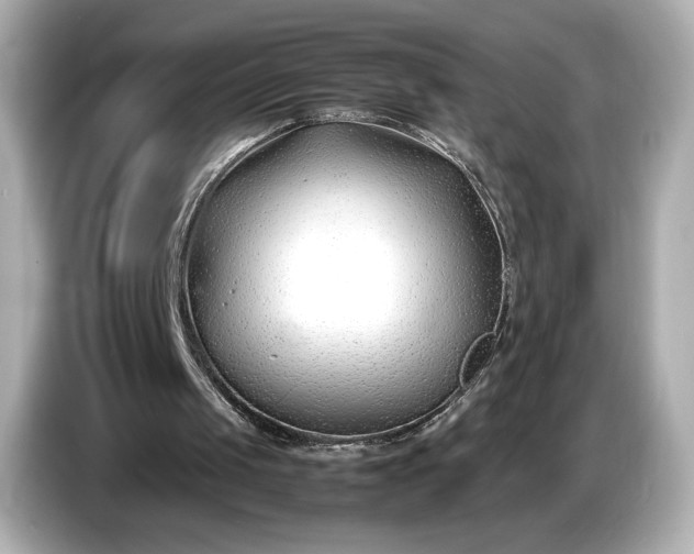 X0000086960049200704301246