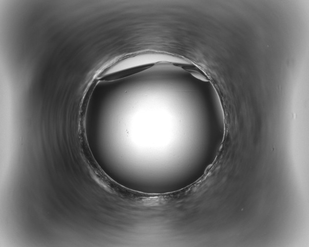 X0000086960050200704301246