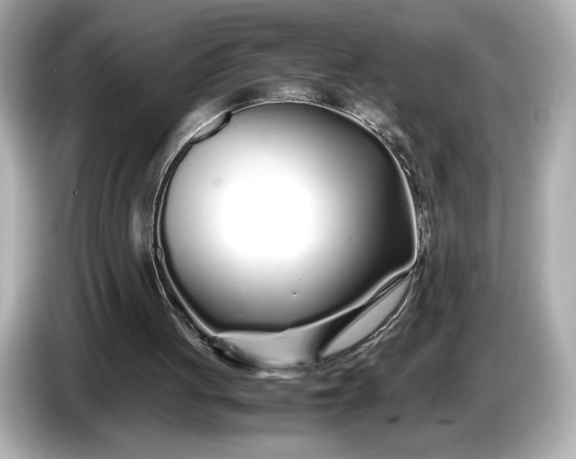 X0000086960051200704301246