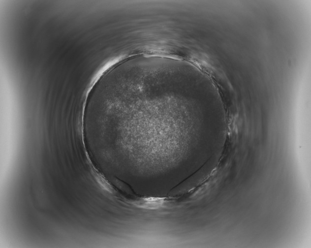 X0000086960052200704301246