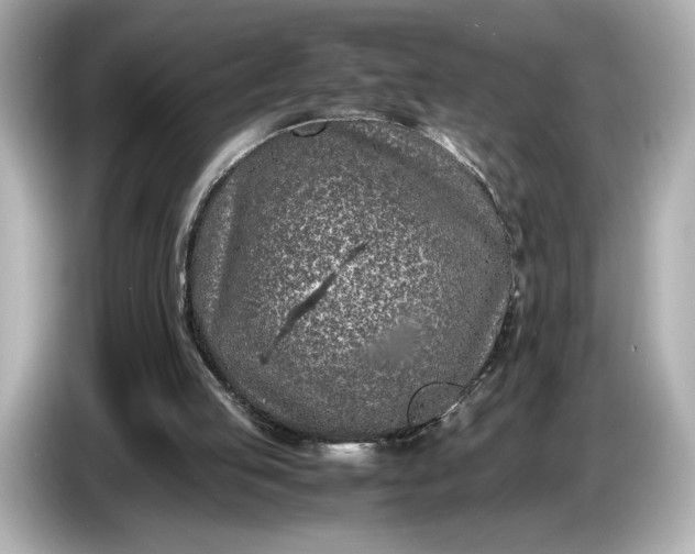 X0000086960053200704301246