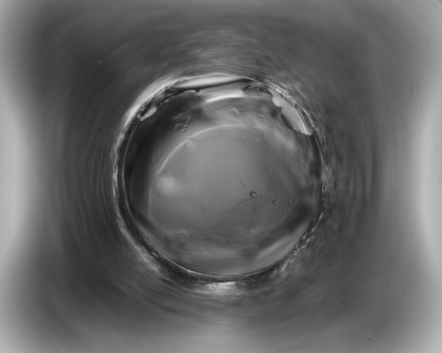 X0000086960054200704301246