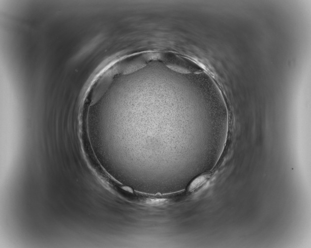 X0000086960055200704301246