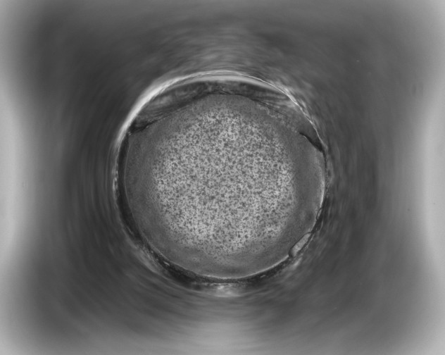 X0000086960056200704301246