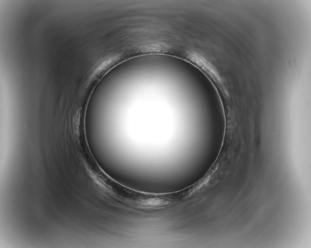 X0000086960058200704301246