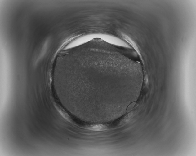X0000086960059200704301246
