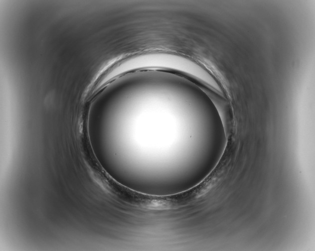 X0000086960060200704301246
