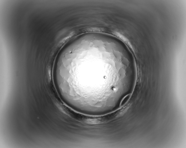 X0000086960061200704301246