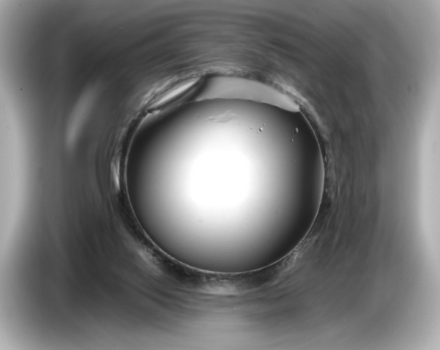 X0000086960062200704301246