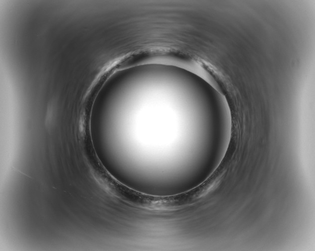 X0000086960064200704301246