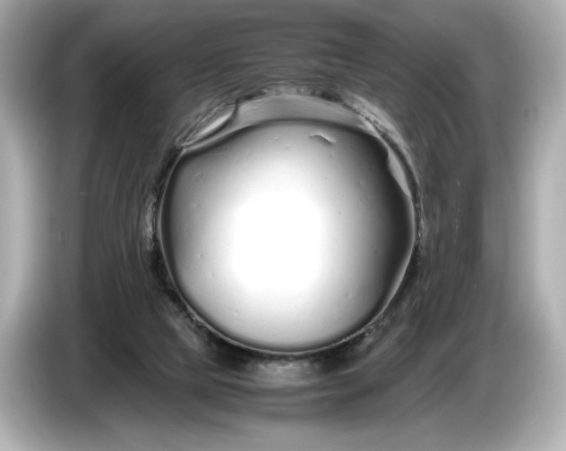 X0000086960065200704301246