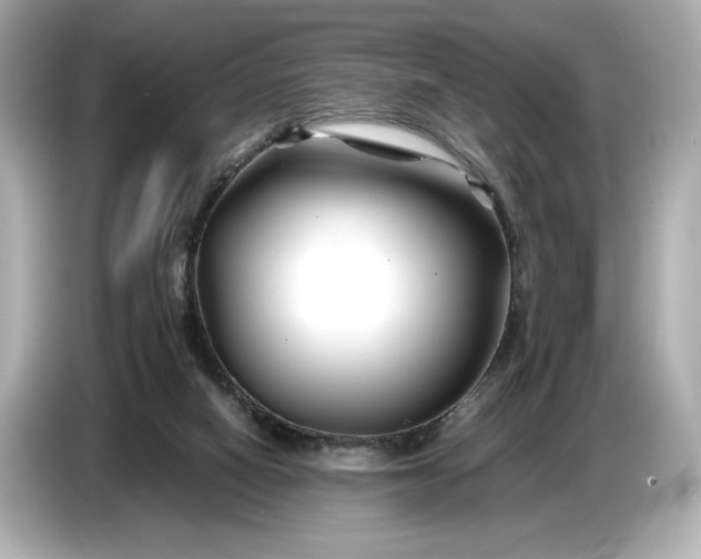 X0000086960066200704301246