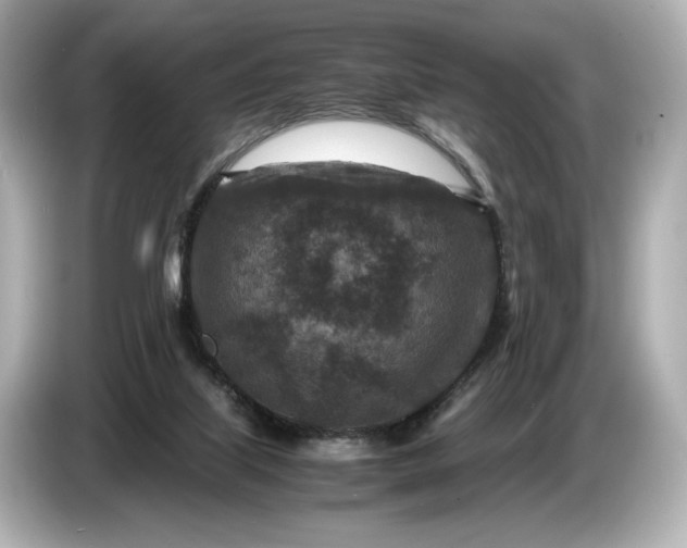 X0000086960067200704301246