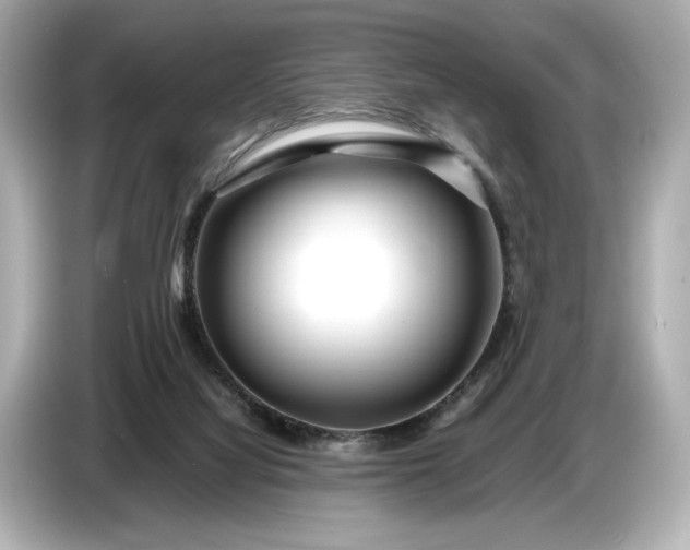X0000086960068200704301246