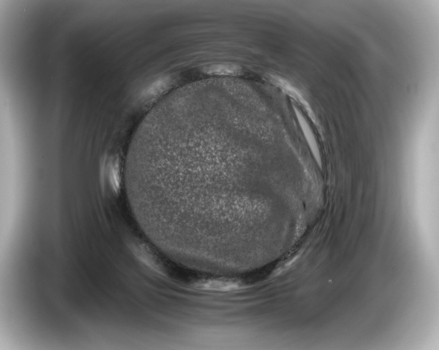 X0000086960069200704301246