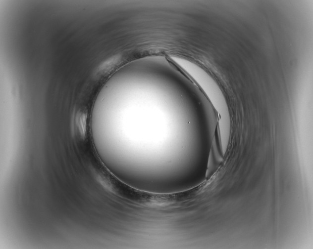 X0000086960070200704301246