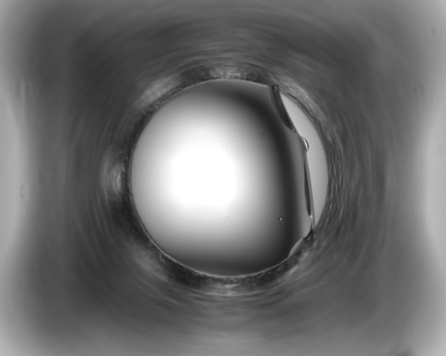X0000086960071200704301246