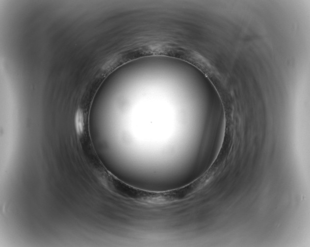 X0000086960075200704301246