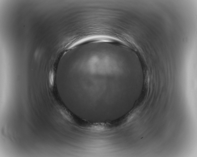 X0000086960076200704301246