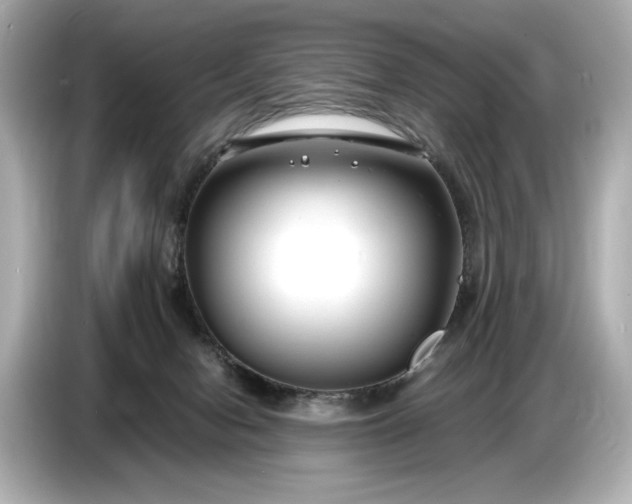 X0000086960078200704301246