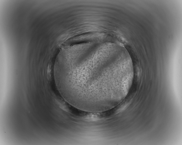 X0000086960080200704301246