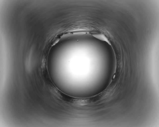 X0000086960081200704301246