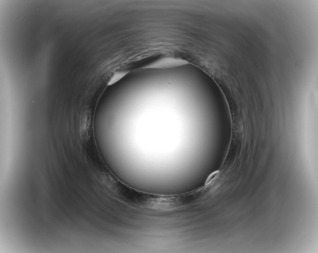 X0000086960082200704301246