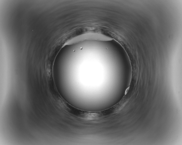 X0000086960085200704301246