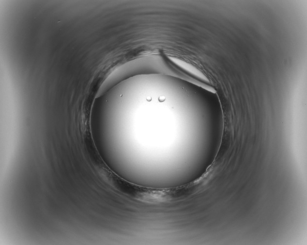 X0000086960086200704301246