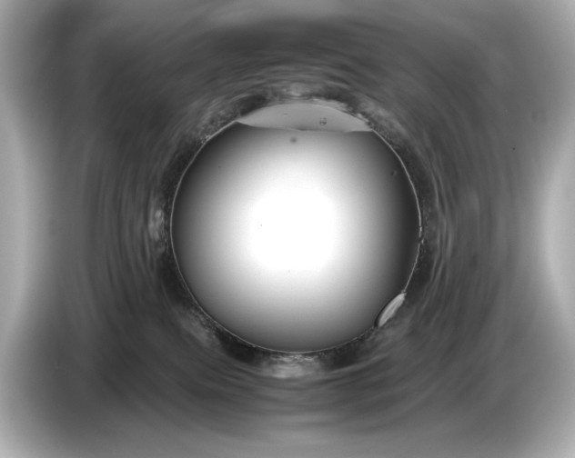 X0000086960087200704301246