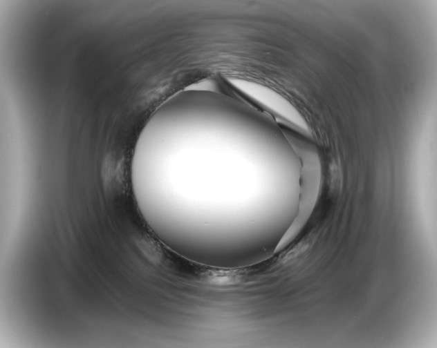 X0000086960088200704301246
