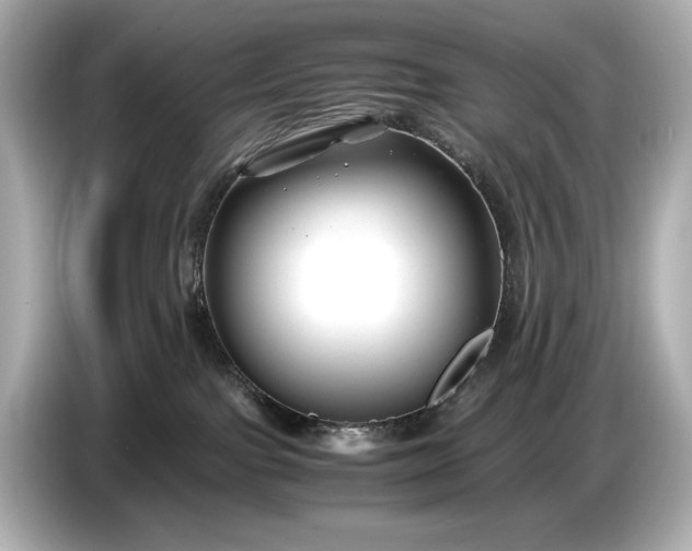 X0000086960091200704301246