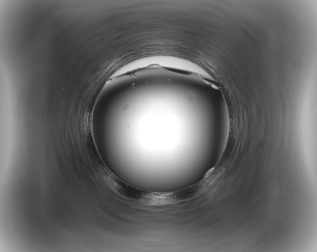 X0000086960093200704301246