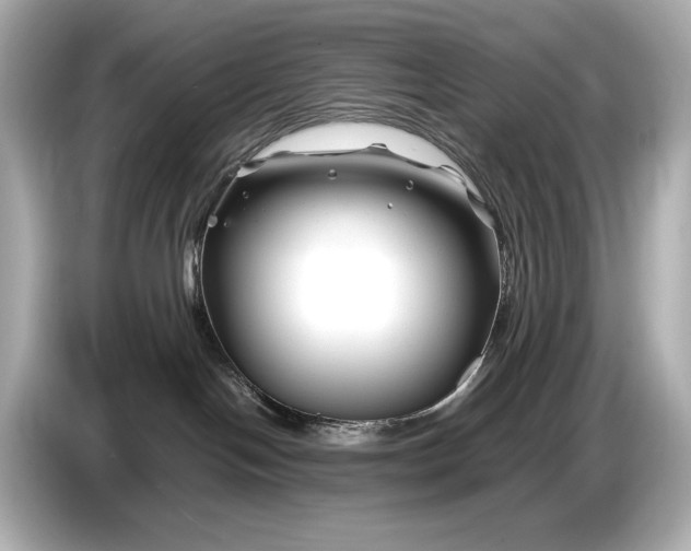 X0000086960094200704301246