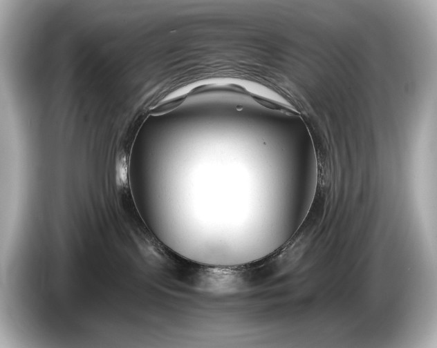 X0000086960095200704301246