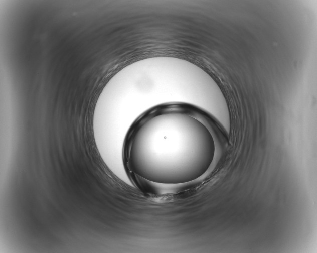 X0000086960096200704301246