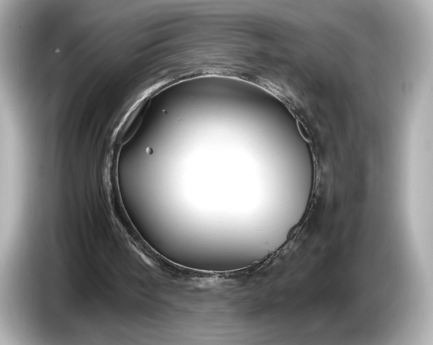 X0000086960098200704301245