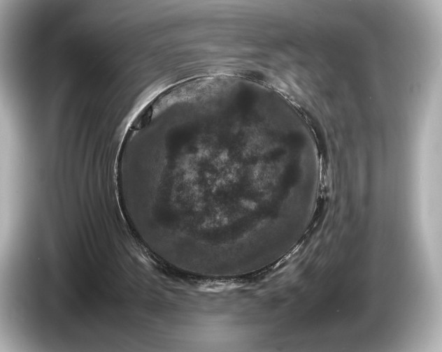 X0000086960099200704301245