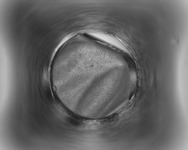 X0000086960100200704301245