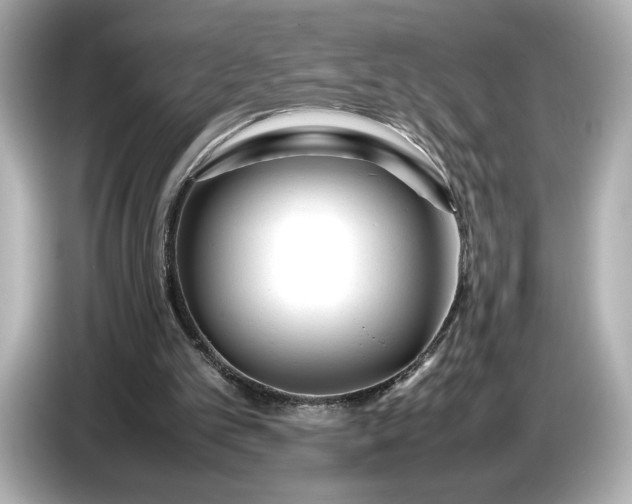 X0000086960101200704301245