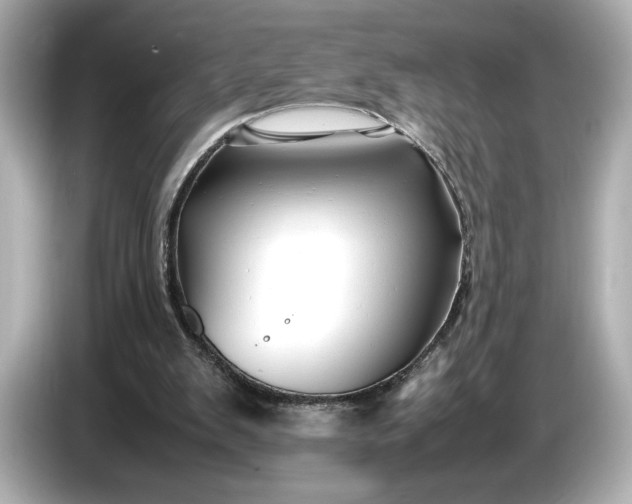 X0000086960103200704301245