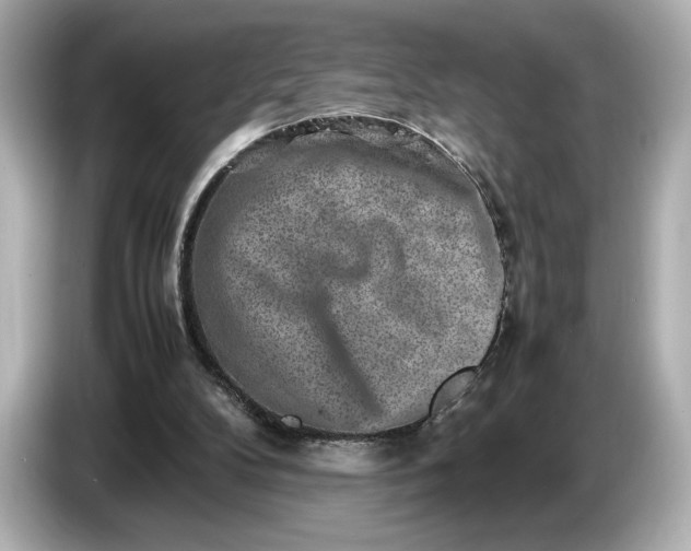 X0000086960104200704301245