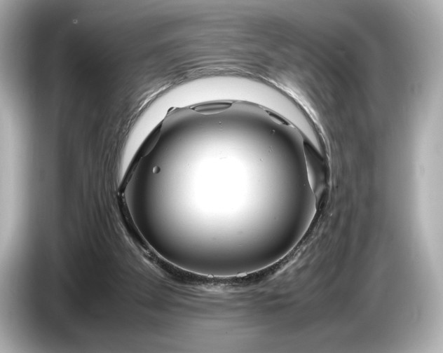 X0000086960105200704301245