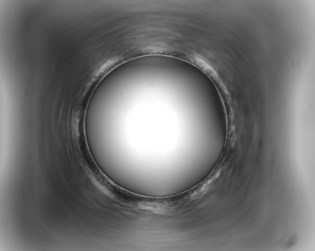 X0000086960106200704301245