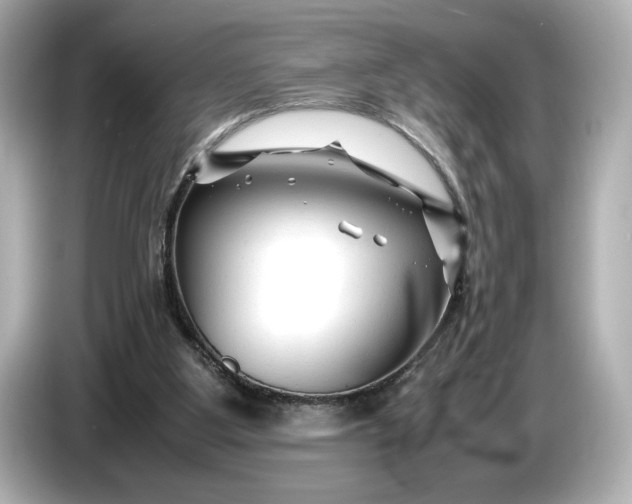 X0000086960107200704301245