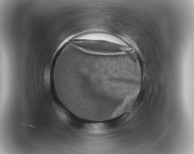 X0000086960108200704301245