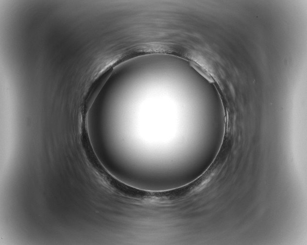 X0000086960109200704301245