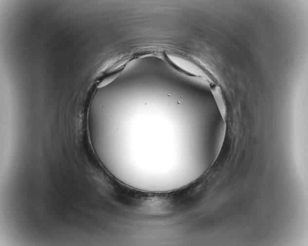 X0000086960111200704301245