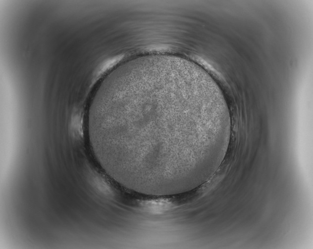 X0000086960112200704301245
