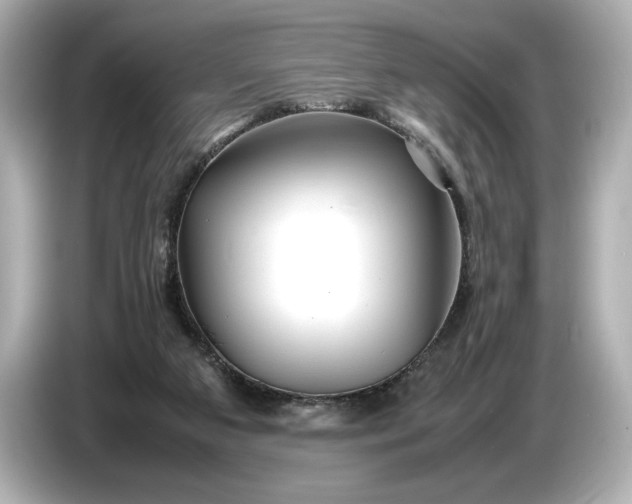 X0000086960113200704301245